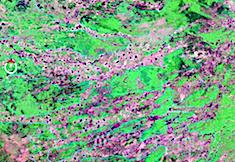 geocover-2000